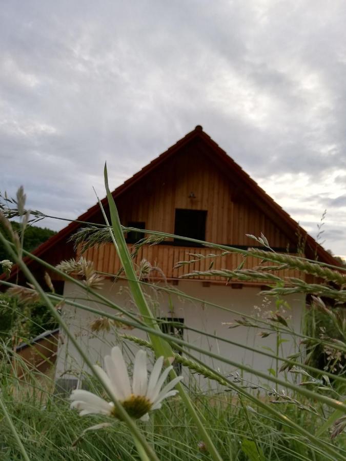 Bioferienhaus Muster - Dominkusch Possnitz Bagian luar foto